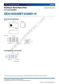 DEA165538BT-2236B1-H Datasheet Page 2