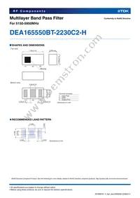 DEA165550BT-2230C2-H Datasheet Page 2