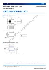DEA202450BT-1213C1 Datasheet Page 2