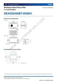 DEA202450BT-2038A1 Datasheet Page 2