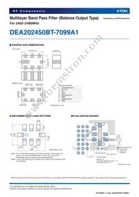 DEA202450BT-7099A1 Datasheet Page 2