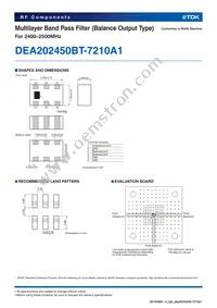 DEA202450BT-7210A1 Datasheet Page 2