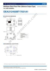 DEA212450BT-7031A1 Datasheet Page 2