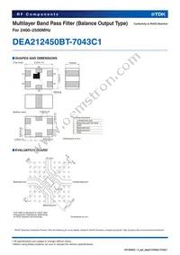DEA212450BT-7043C1 Datasheet Page 2