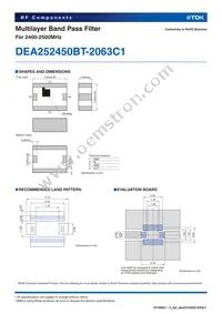 DEA252450BT-2063C1 Datasheet Page 2