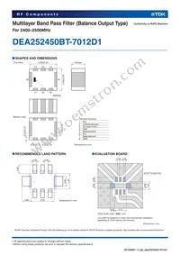 DEA252450BT-7012D1 Datasheet Page 2