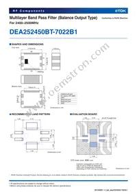DEA252450BT-7022B1 Datasheet Page 2