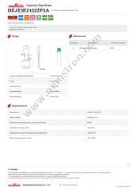 DEJE3E2102ZP3A Datasheet Cover