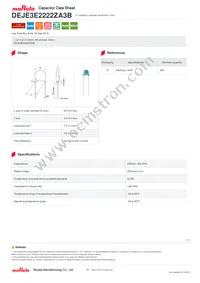 DEJE3E2222ZA3B Datasheet Cover