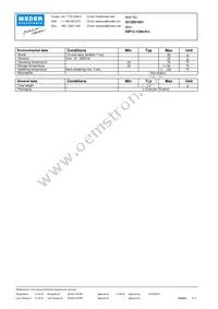 DIP12-1C90-51L Datasheet Page 2