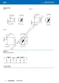 DLH-31-0005 Datasheet Page 2