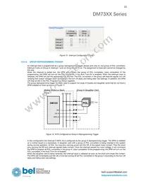 DM7332G-65518-R100 Datasheet Page 23