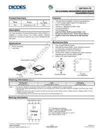 DMT3002LPS-13 Datasheet Cover