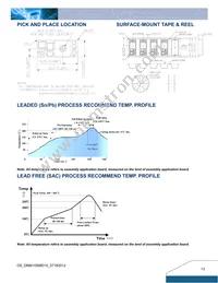 DNM10S0A0S10PFD Datasheet Page 13