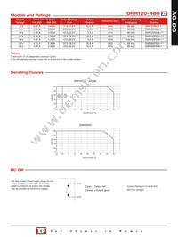 DNR480PS48 Datasheet Page 2