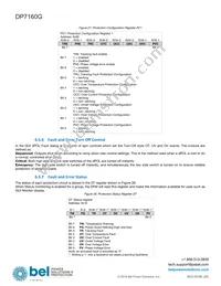 DP7160G-T050 Datasheet Page 19
