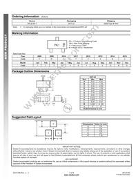 DPLS160-7 Datasheet Page 4