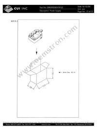 DPR090080-P5P-SZ Datasheet Page 10