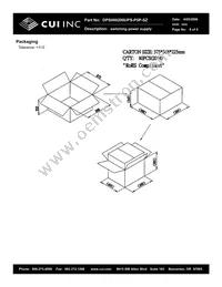 DPS060200UPS-P5P-SZ Datasheet Page 6