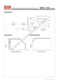 DRC-100A Datasheet Page 3