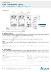 DRP024V120W3AA Datasheet Page 12