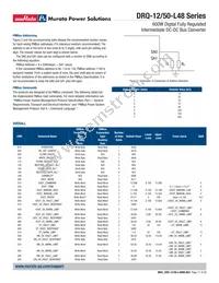 DRQ-12/50-L48PKSA-C Datasheet Page 17