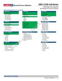 DRQ-12/50-L48PKSA-C Datasheet Page 20