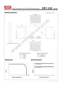 DRT-240-24 Datasheet Page 2