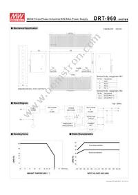 DRT-960-24 Datasheet Page 2