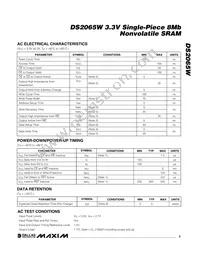 DS2065W-100# Datasheet Page 3