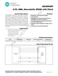 DS3065WP-100IND+ Datasheet Cover