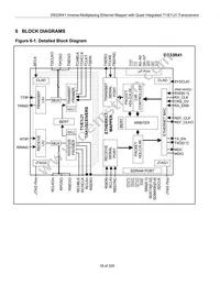 DS33R41 Datasheet Page 18