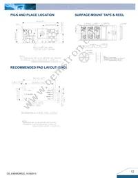 E48SR2R520NRFA Datasheet Page 12