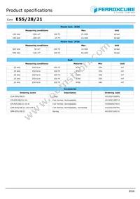 E55/28/21-3C95-G2000 Datasheet Page 2