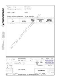 E58/11/38-4F1 Datasheet Page 2