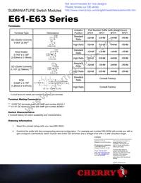 E63-30K Datasheet Page 3