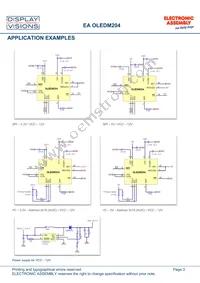 EA OLEDM204-GGA Datasheet Page 3