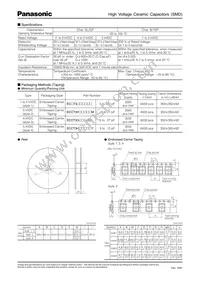 ECC-T3G220JG2 Datasheet Page 2