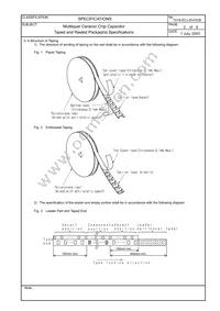 ECJ-1V41E105M Datasheet Page 20
