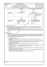 ECJ-3YF1C106Z Datasheet Page 15