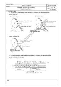 ECJ-3YF1C106Z Datasheet Page 21