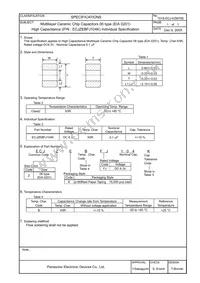 ECJ-ZEBFJ104K Datasheet Page 2