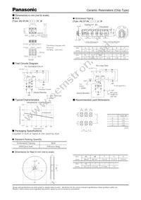 EFJ-N3385J5B Datasheet Page 2