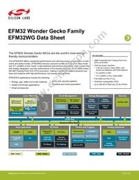 EFM32WG995F256-BGA120T Datasheet Cover