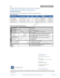 EHW007A0B841Z Datasheet Page 18