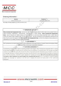 ER1B-LTP Datasheet Page 3