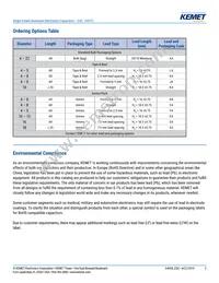 ESC108M035AL4AA Datasheet Page 2