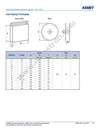 ESC108M035AL4AA Datasheet Page 20