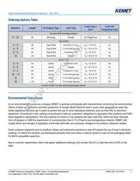 ESK476M035AC3AA Datasheet Page 2