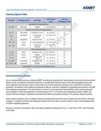 ESK476M035AC3EA Datasheet Page 2